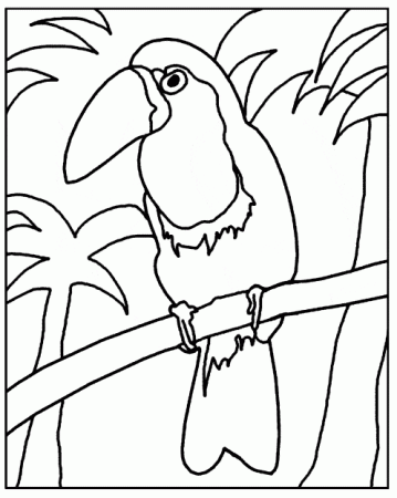 Tucan coloring - Free Animal coloring pages sheets Tucan