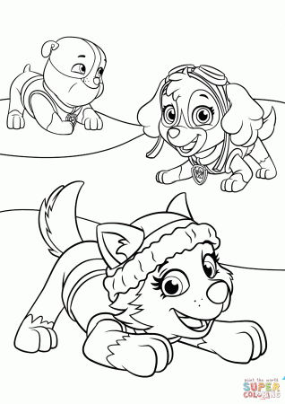 Everest Plays with Skye and Rubble coloring page | Free Printable Coloring  Pages