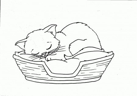 Kitten Coloring Page (20 Pictures) - Colorine.net | 14769
