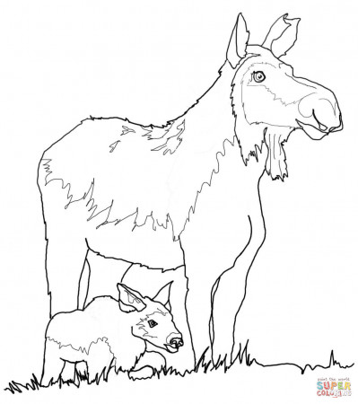 Moose coloring pages | Free Coloring Pages