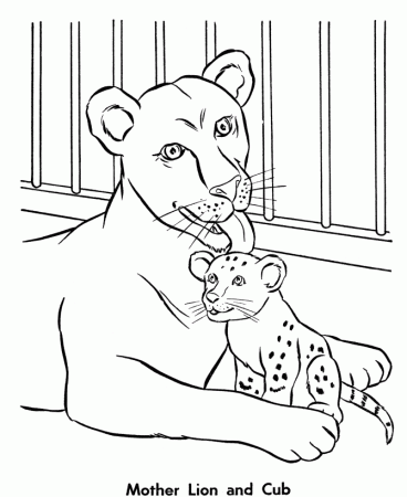 Zoo Animal Coloring Pages | Female Lion and her Cub Coloring Page ...