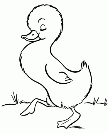 Farm Animal Coloring Pages | Printable baby duckling Coloring Page 