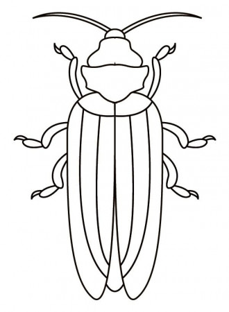 Free Beetle Coloring Page - Free Printable Coloring Pages for Kids