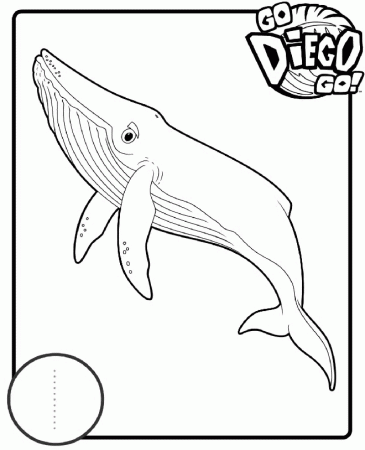 Kids-n-fun.com | 41 coloring pages of Diego, Go Diego Go
