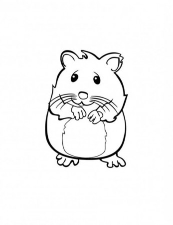a cute sandy the hamster coloring pages. cute baby guinea pigs ...