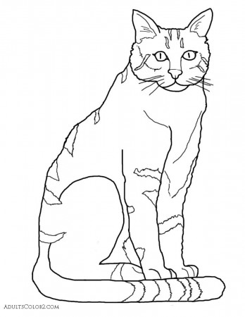Best Photos of Wildcat Coloring Pages For Adults - Wildcat Logo ...