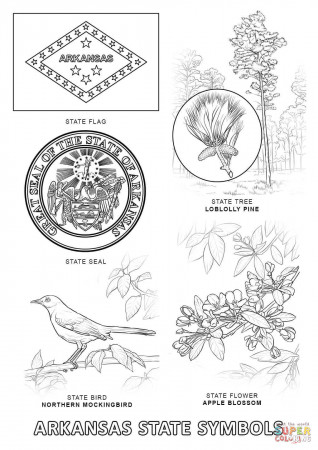 Arkansas State Symbols coloring page | Free Printable Coloring Pages
