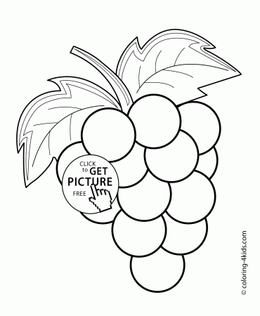 Grapes fruits and berries coloring pages for kids, printable free ...