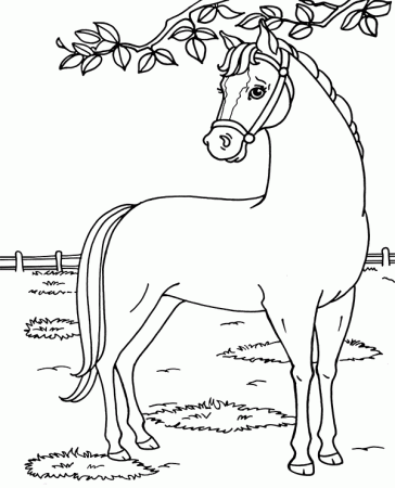 Dancer Barbie's horse coloring page