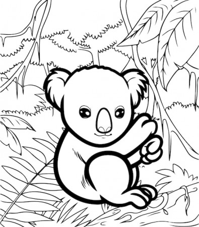 Cute Baby Koala coloring pages for kids