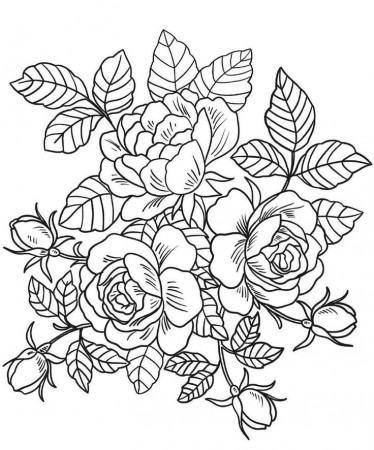 15 Flower coloring pages Coloring Pages instant download - Etsy Canada |  Rose coloring pages, Detailed coloring pages, Printable flower coloring  pages