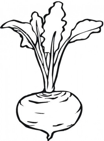 Beetroot 7 coloring page | Super Coloring | Fruit coloring pages, Vegetable coloring  pages, Coloring pages