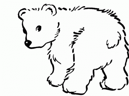 7 Pics of Polar Bear Christmas Coloring Pages To Print - Cute ...