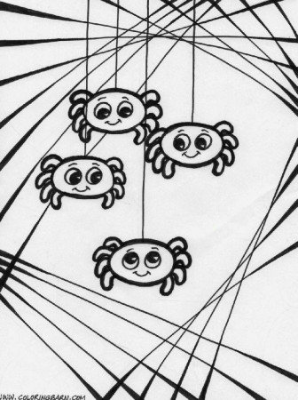 Spider Coloring Sheet | Free Coloring Sheet