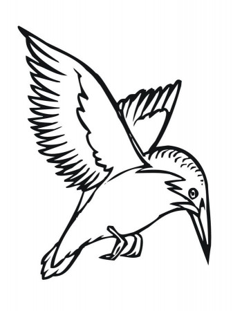 Coloring pages: Kingfisher, printable for kids & adults, free to download