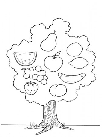 Tree with fruits Coloring Page - Funny Coloring Pages
