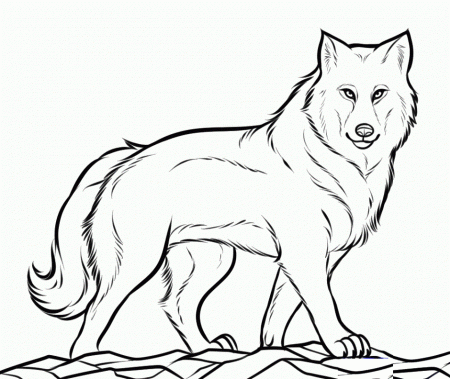 Wolf Coloring Book | Free Printable Wolf Coloring Pages
