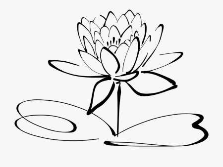 Overused Words Dangling Modifiers - Water Lily Coloring Pages ...