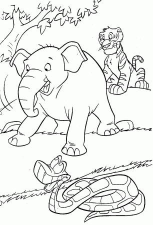 Jungle coloring pages to download and print for free