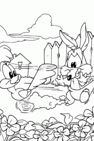 Baby Looney Toons Coloring Pages | download free printable 