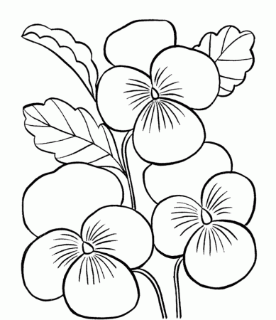 print flower coloring pages printable