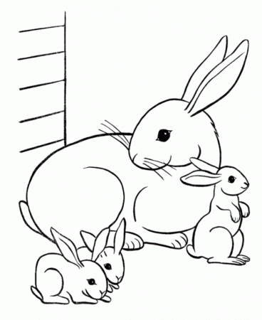 Bunny Coloring Pages For Kids 20 | Free Printable Coloring Pages