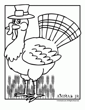 Turkey Coloring Worksheets