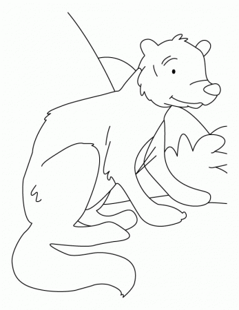 White-tailed mongoose coloring pages | Download Free White-tailed 