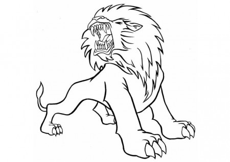 kelsey napper: roaring lion