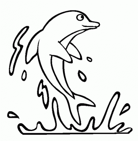 Picture Of A Dolphin To Color - HD Printable Coloring Pages