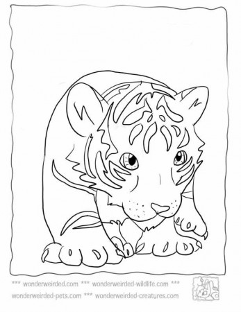 Pin by LucyLearns.com ( Official) on >LL< Coloring Sheets Animals | P…