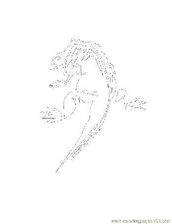 Goanna Colouring Pages