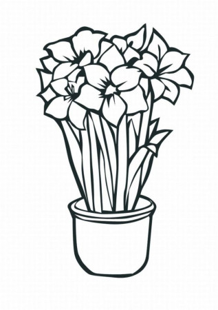Funny Tropical Flower Coloring Pages Lrg Top Resolutions 