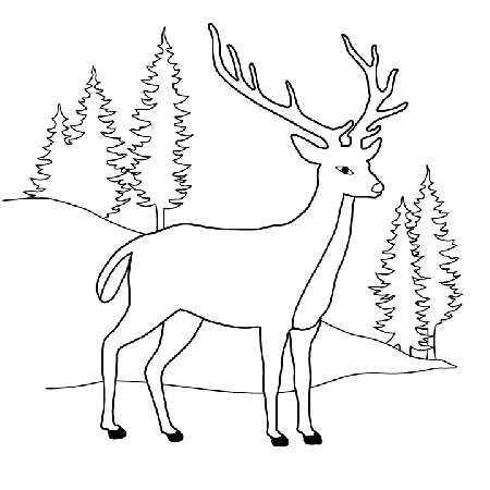 Printable Deer Picture - Honningpupp II