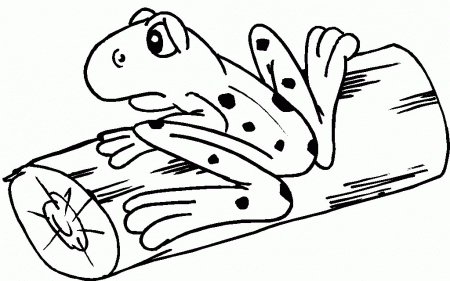 Cute Frog Coloring Page Hd Wallpapers | ViolasGallery.com