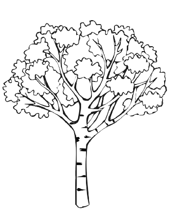 Fall Tree Coloring Page | Coloring Pages