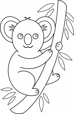 Koala Outline Colouring Pages Id 98897 Uncategorized Yoand 278839 