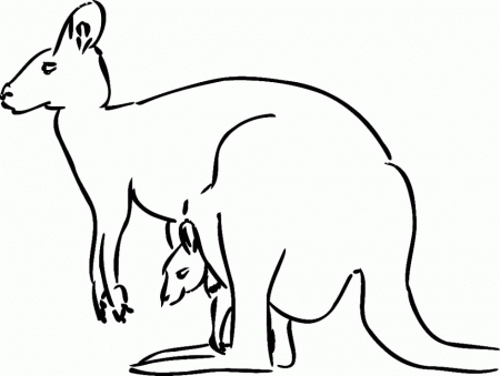 Free Australian Animals Coloring Pages Hagio Graphic 246525 