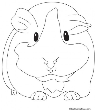 Groaning guinea pig coloring pages | Download Free Groaning guinea 