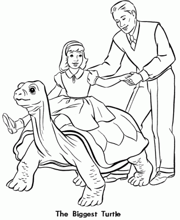 Zoo Animal Coloring Pages | animals coloring pages | #6 | Color 