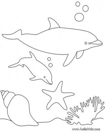 Coloring Pages Of Cute Baby Dolphins Cute Penguin Coloring Pages 