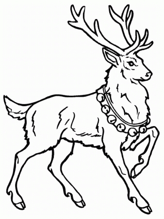 Polar Express Coloring Pages Free Coloring Pages Pictures
