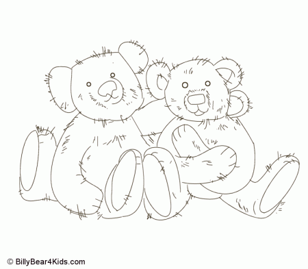 Animal Scoop - Bears - BillyBear4Kids.