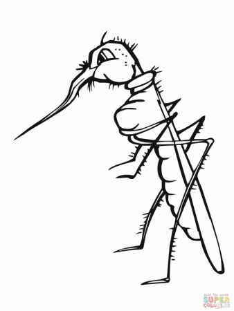 BROKEN Colouring Pages 166788 Mosquito Coloring Page