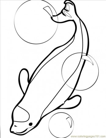 Coloring Pages Beluga Whale Ink (Mammals > Whale) - free printable 