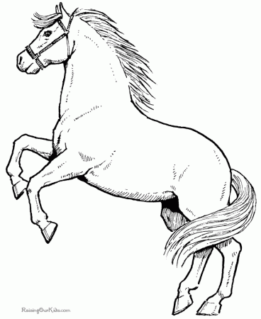 Coloring Pages Of Horses 383 | Free Printable Coloring Pages