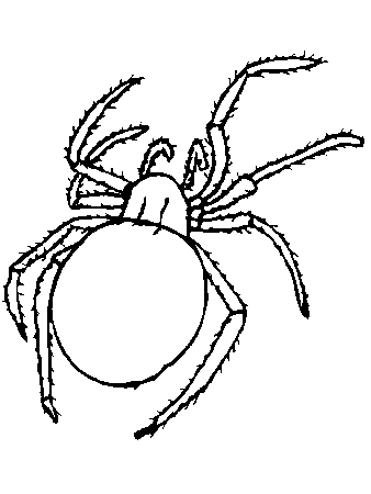 Spider Coloring Pages | Coloring Pages To Print