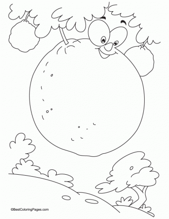 fresh juicy ornage on tree coloring page | Download Free fresh 