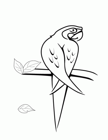 parrot 149 printable coloring in pages for kids - number 2380 online