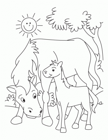 Horse and Colt coloring pages | Download Free Horse and Colt 
